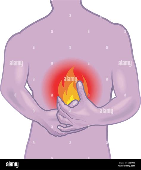 Stomach acid hi-res stock photography and images - Alamy