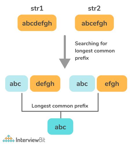 Image result for Longest Common Prefix String