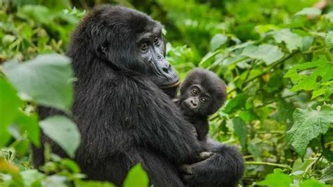 Here Are Top 10 Volunteer Travel Experiences To Make A Difference