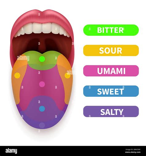 Tongue taste bitter Stock Vector Images - Alamy
