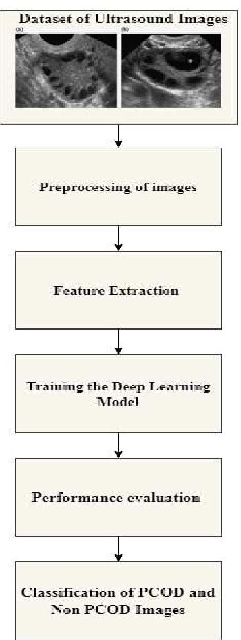 Pcos Detection System Block Diagram Deep Learning Supervised Machine Learning 的图像结果