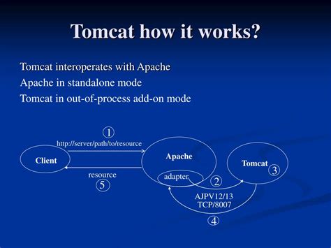 Tomcat Java 的图像结果