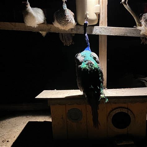 3 PALMS ZOO & EDUCATION CENTER (2024) All You Need to Know BEFORE You ...