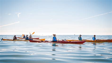 Summer Faculty – Summer Session