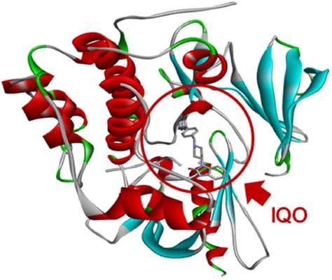 Virtual Screening of Natural Compounds as Potential PI3K-AKT1 Signaling ...