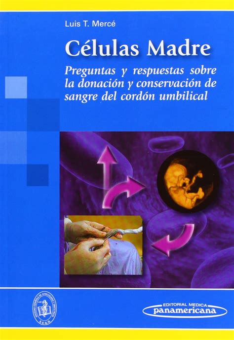 Buy Celulas madre/ Stem cells: Preguntas Y Respuestas Sobre La Donacion ...