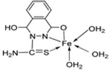 Iron–Imine Cocktail in Drug Development: A Contemporary Update