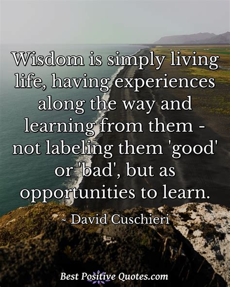 Wisdom is simply living life, having experiences along the way and ...