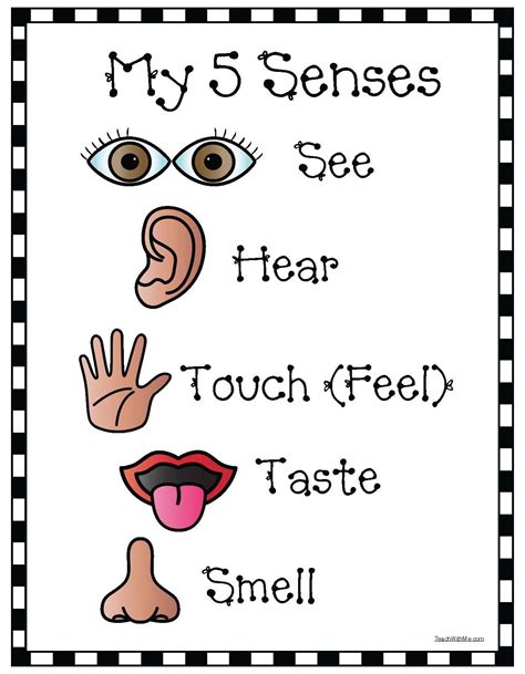My Five Senses Book Free Printable This Book Typically Consists Of ...