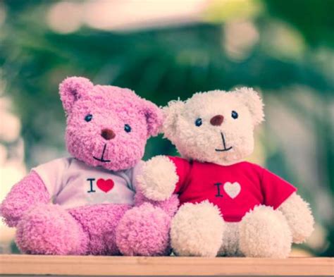 Happy Teddy Day 2020: Shayari, quotes, wishes, messages and SMS to ...