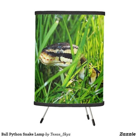 Image result for Python Table Lamp