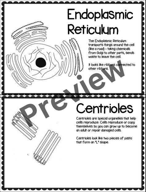 Worksheets Human Cell Structure 的图像结果