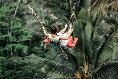 Ubud Monkey Forest Sanctuary Tour and Jungle Swing in Bali | Pelago