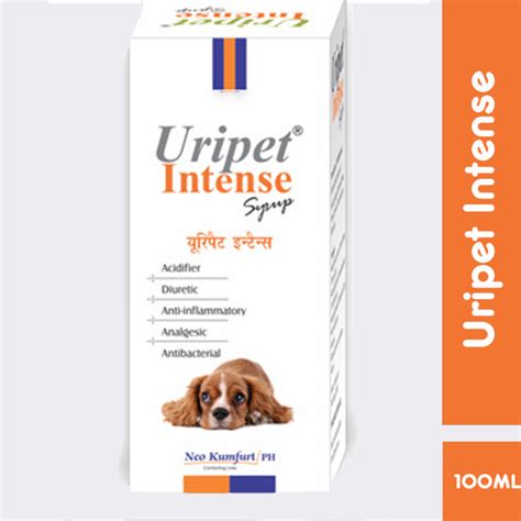 Urinary Tract and Kidney Infections in Dogs - Buy Online for Upto 40% ...