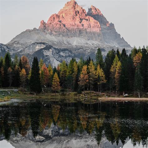 Download wallpaper 2780x2780 mountain, trees, lake, reflection ...