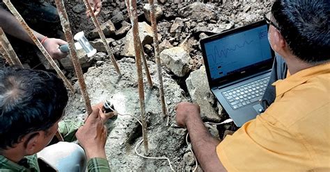 Image result for Pile Integrity Test