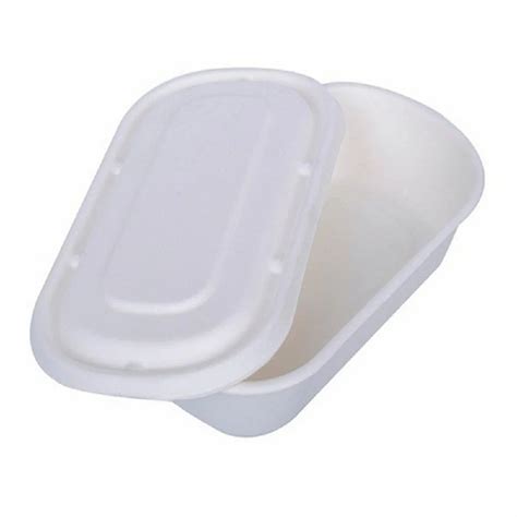 Biodegradable packaging - Sandwich Packaging Box Manufacturer from Gurgaon