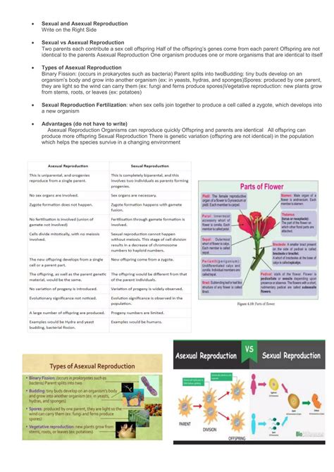 SEXUAL AND ASEXUAL REPRODUCTION WORKSHEET.docx