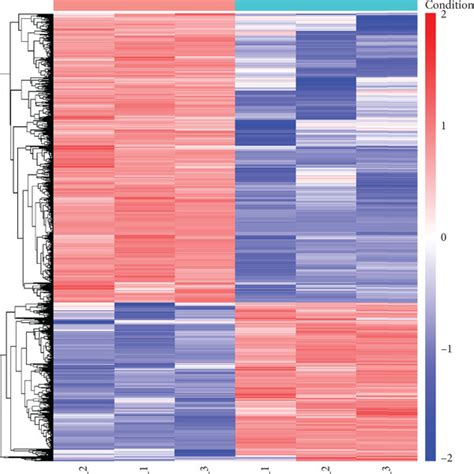Image result for Transcriptomic Analysis