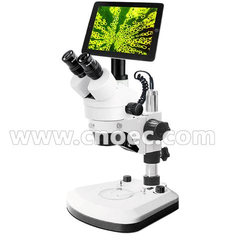 Vector Model Xfp36 Microscope Video 的图像结果