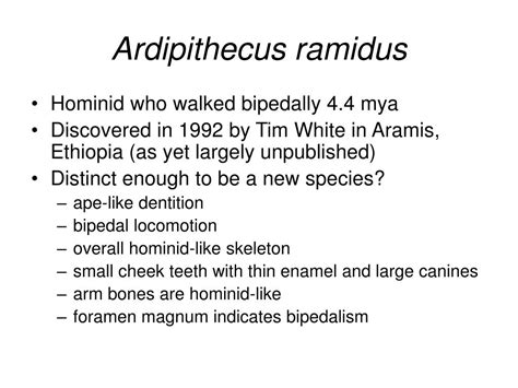 Image result for Ardipithecus Ramidus Discovery