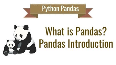 Image result for Introduction to Pandas in Python