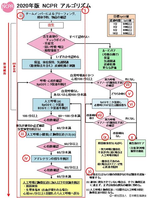 Image result for NSW Paediatric Advanced Life Support Algorithm