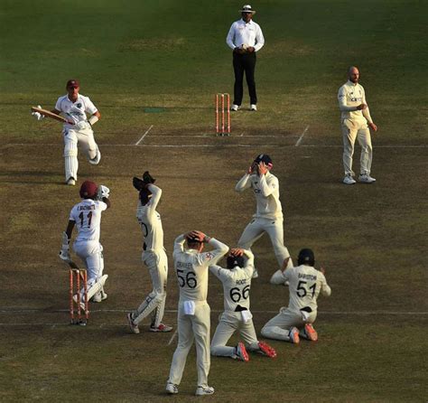 Top IPL Stats website in India