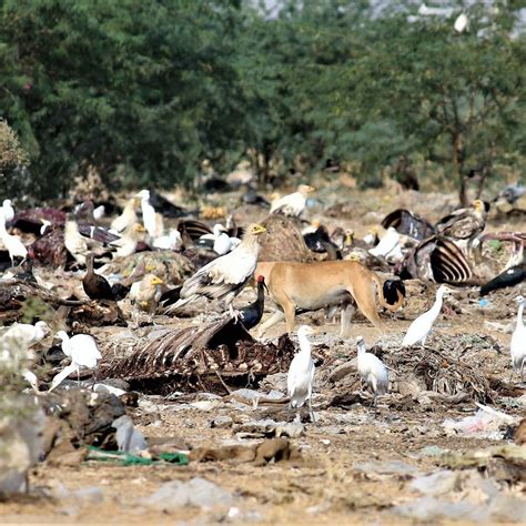 JORBEER CONSERVATION RESERVE (2025) All You Need to Know BEFORE You Go ...