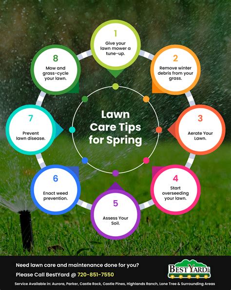 Lawn Care Tips For Spring at Patrick Jefferson blog