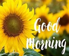 Image result for Good Morning Critters