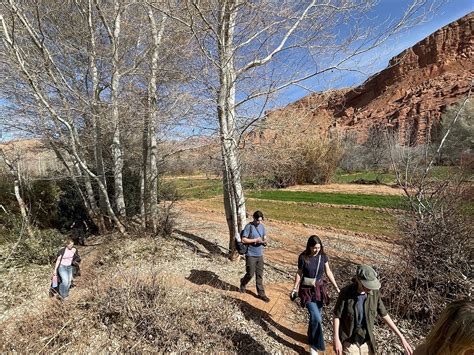 ADRAR TRAVEL (2026) All You Need to Know BEFORE You Go (w/ Reviews ...