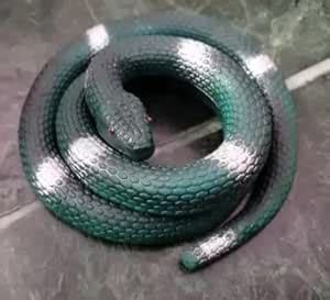 Buy NEXAWAVE Realistic Rubber Fake Snake Green Mamba Toy for Garden ...