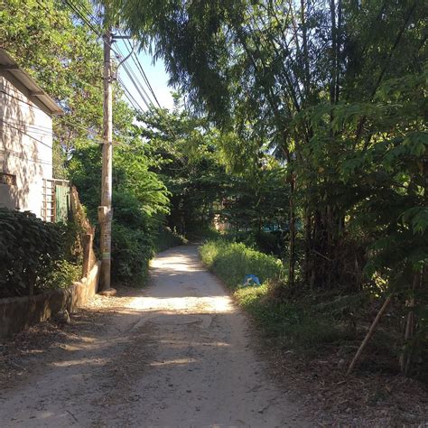 FOREVER YOUNG HOSTEL (Hue) - Hostel Reviews & Photos - Tripadvisor