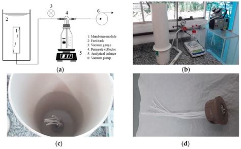A New Approach to the Development of Hollow Fiber Membrane Modules for ...