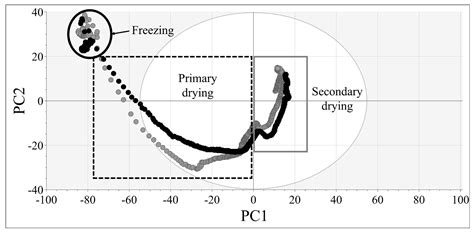 NIR-Based Real-Time Monitoring of Freeze-Drying Processes: Application ...