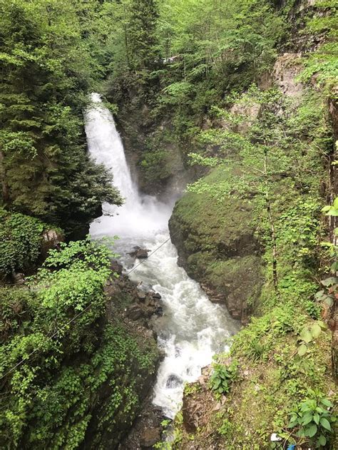 Rize Tourism (2024): All You Need to Know Before You Go