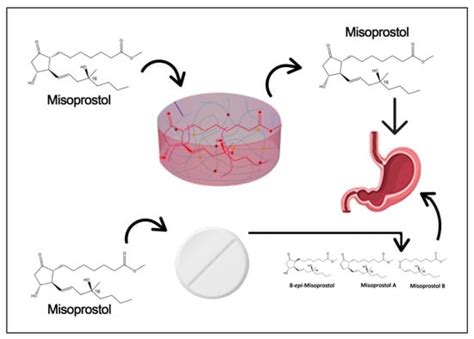 Novel Hydrolytic Degradable Crosslinked Interpenetrating Polymeric ...
