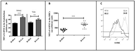 Antioxidants | Special Issue : Blood Cells and Redox Homeostasis in ...