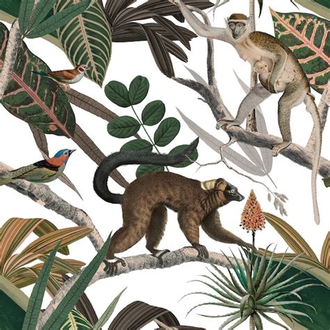 Lemur seamless pattern png transparent background in the jungle ...
