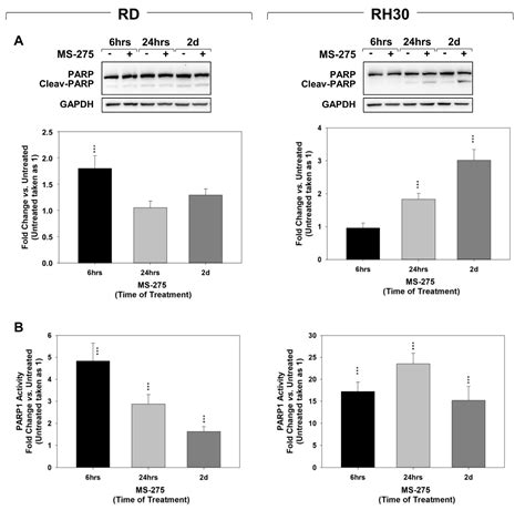 MS-275 (Entinostat) Promotes Radio-Sensitivity in PAX3-FOXO1 ...