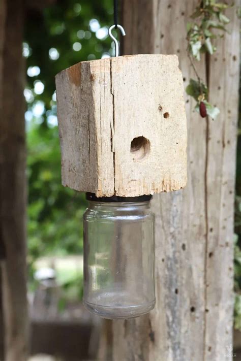 How to Make a DIY Carpenter Bee Trap Step-by-Step