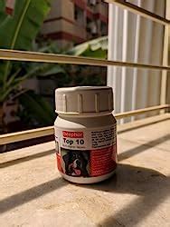 Beaphar Top-10 Dog Supplement, 160 Tablets : Amazon.in: Toys & Games