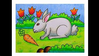 Image result for Baby Small Rabbit Drawing