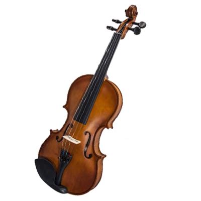 Image result for Violin Note Names