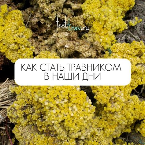 КАК СТАТЬ ТРАВНИКОМ В НАШИ ДНИ Часто наши подписчики спрашивают нас не ...