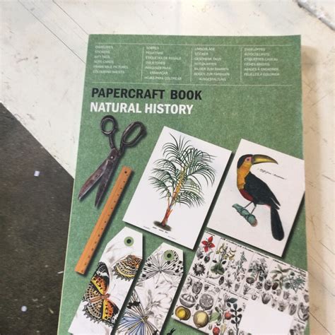 Image result for Paper Craft Book