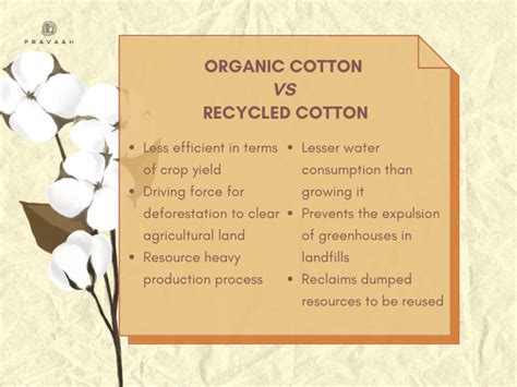The Benefits of Recycled Cotton: A Smarter Sustainable Choice – Pravaah ...