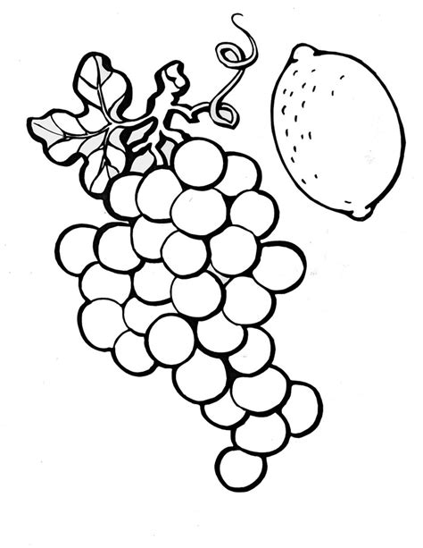 Colorings- fruit outline drawing