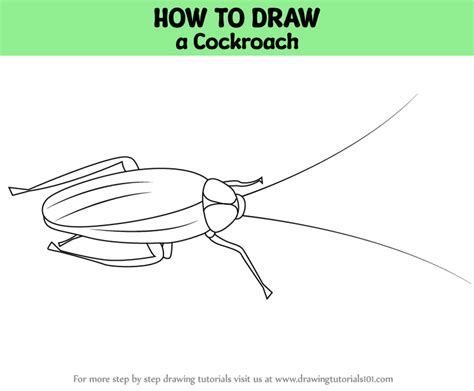Image result for How to Draw a Cockroach Step by Step